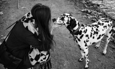 A serene black and white scene of a woman affectionately meeting a Dalmatian dog.